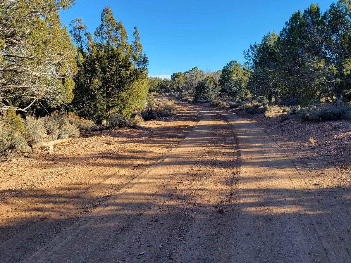 BLM 1054 photo 4