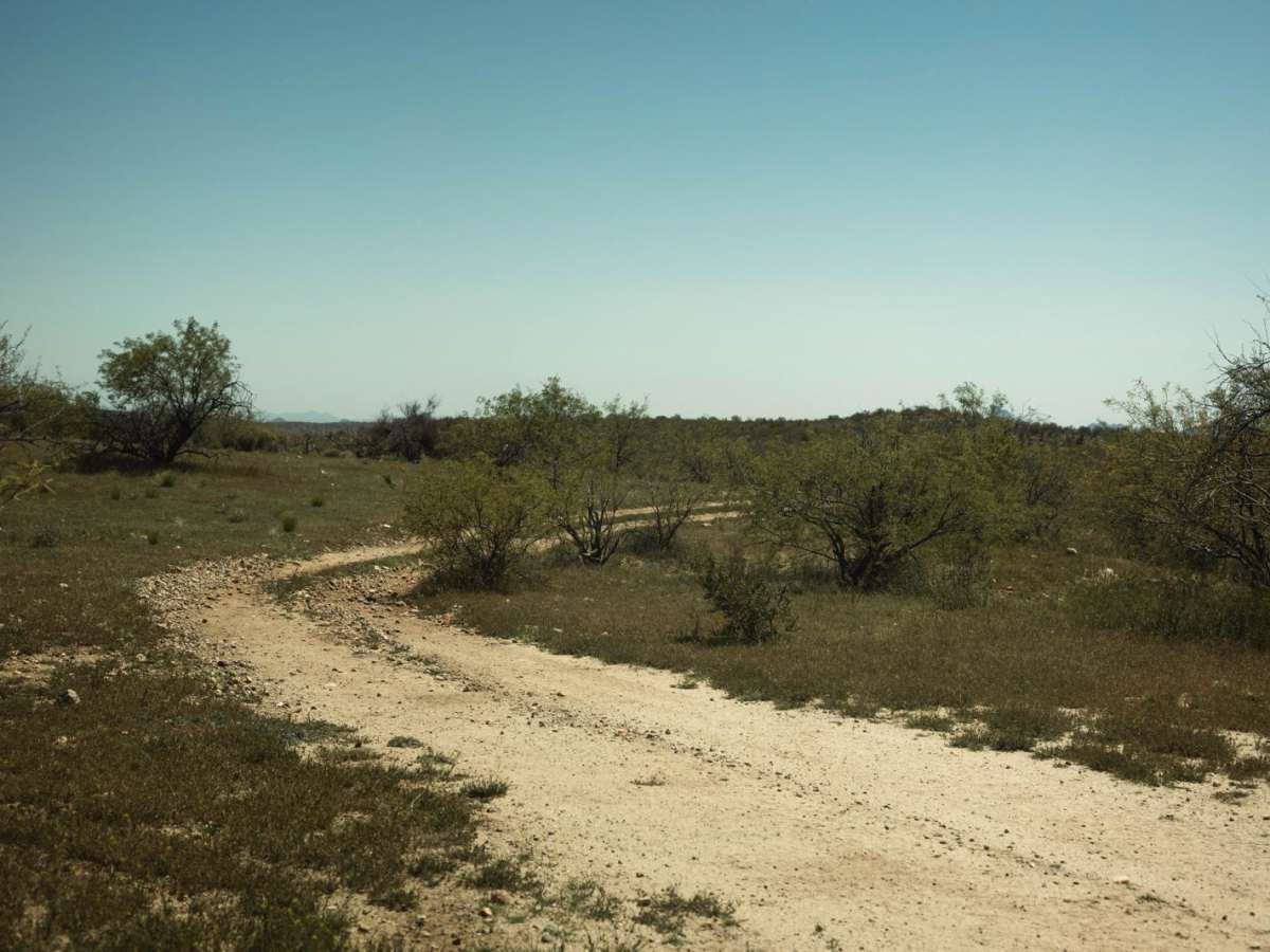 Hilltop trail photo