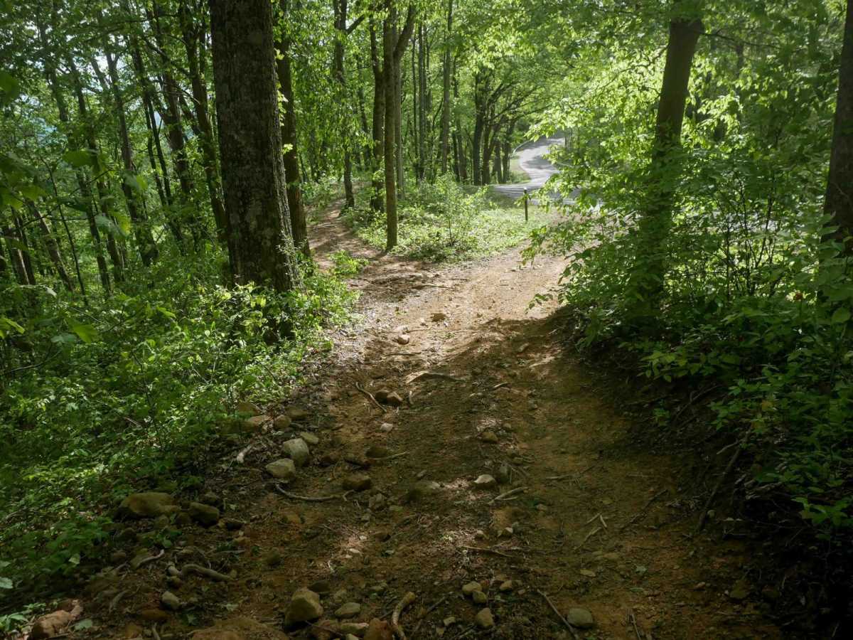 MV16 photo 6