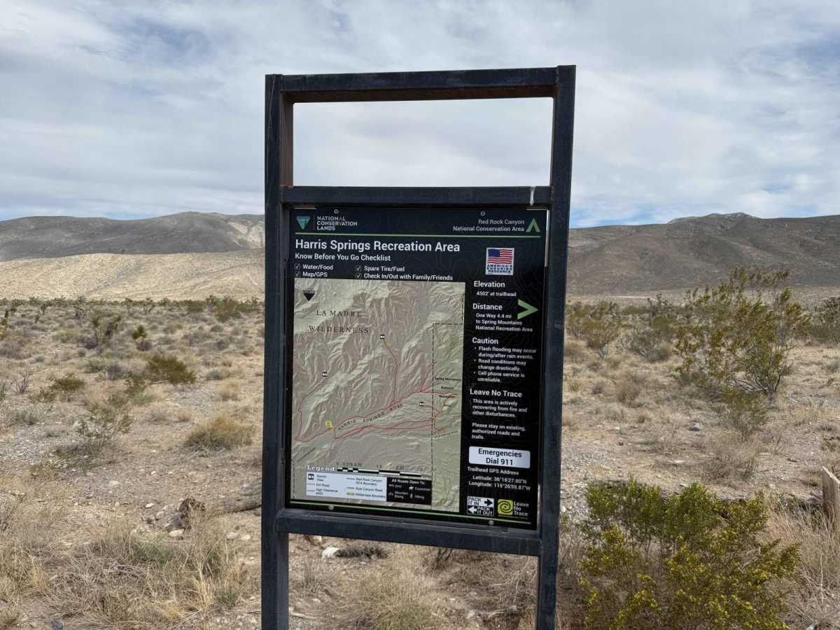 Harris Springs Cutoff Road photo 5
