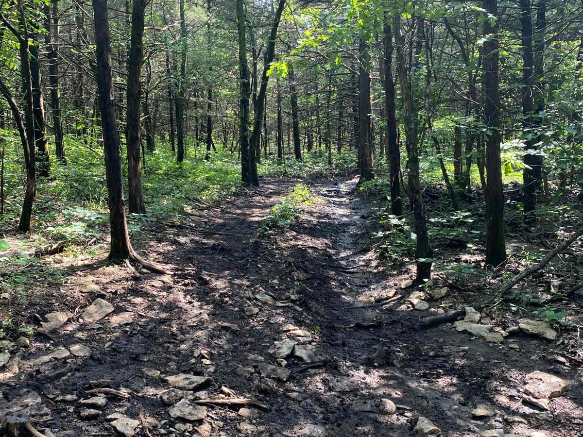 Path Finder photo 4