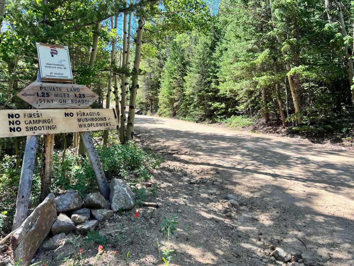Missouri Gulch Road - CR 15S/15N photo 4