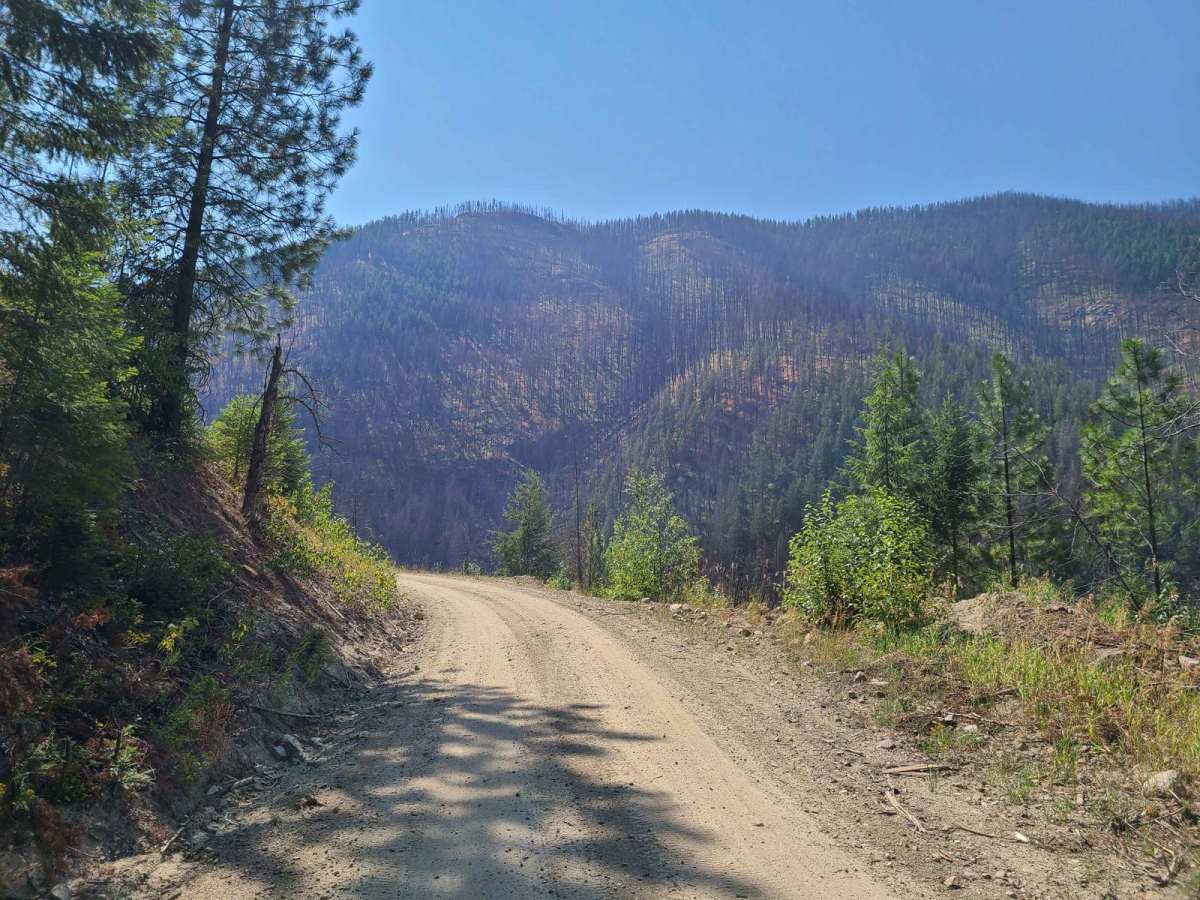 Ball Creek trail photo