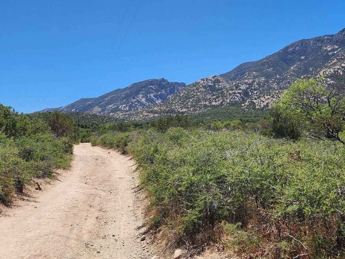 Old Happy Valley Road FR 4406 photo 5