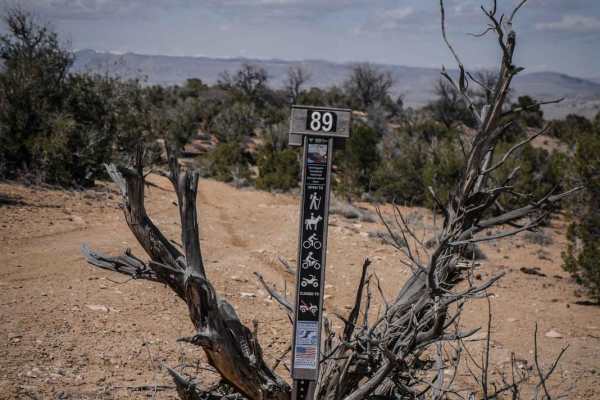 BLM Route 89
