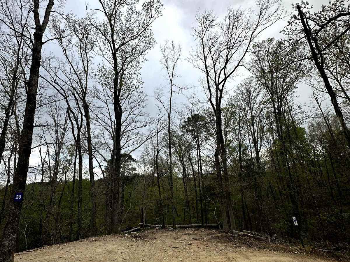 Trail 20 photo 4