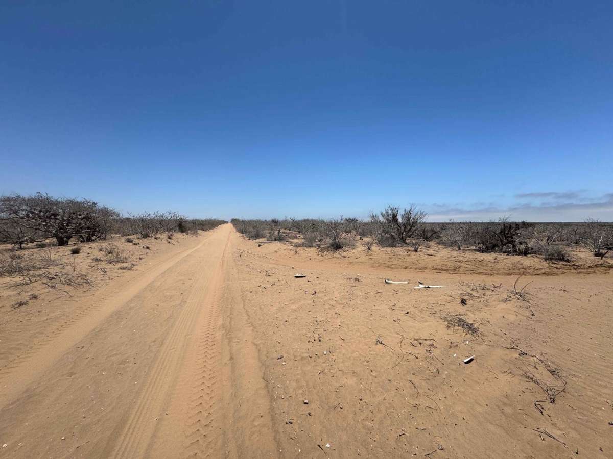 Campo Vicente Access photo 6