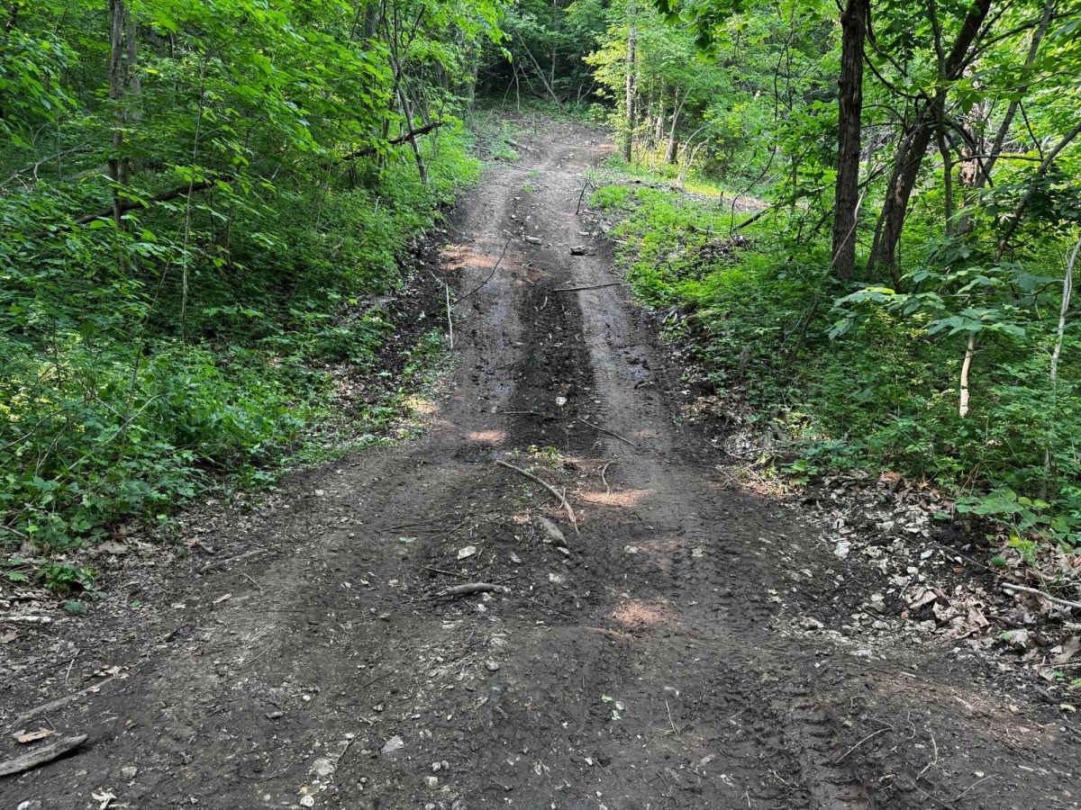 Green 128 photo 5