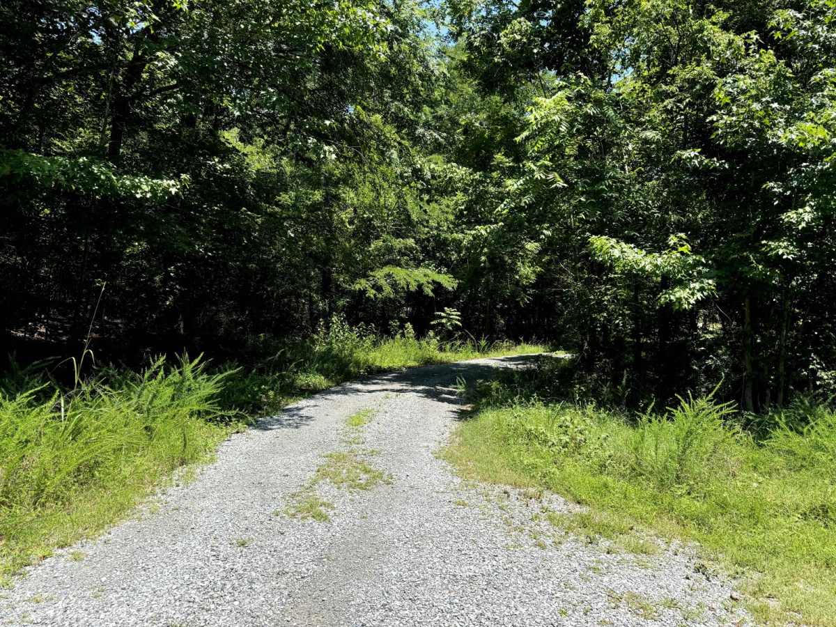 Jones Creek Road photo 4
