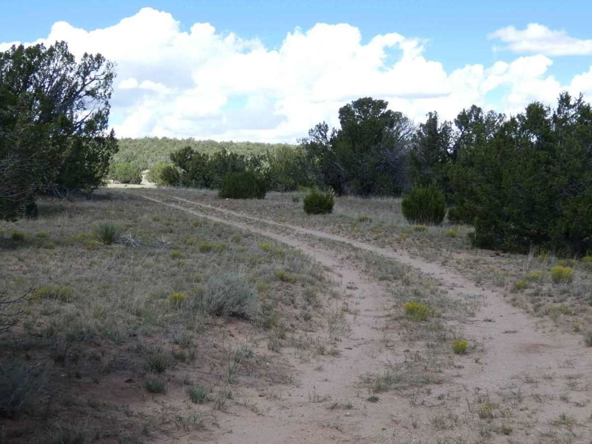 Clarion Course photo 2
