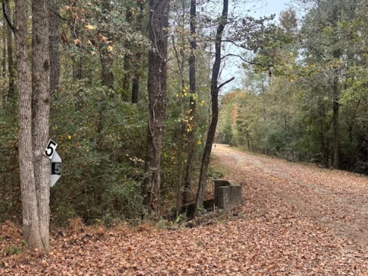 5 trail photo