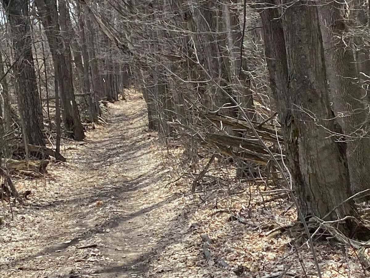Black Edge Waterfall trail photo