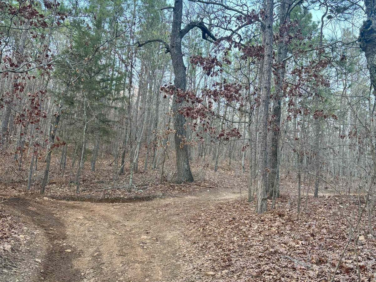 Lincoln View Trail photo 3