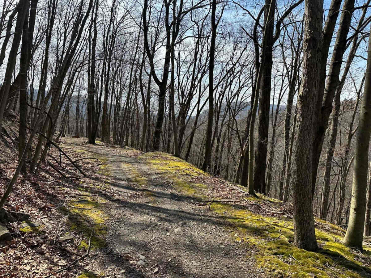 Ashland 107 photo 2
