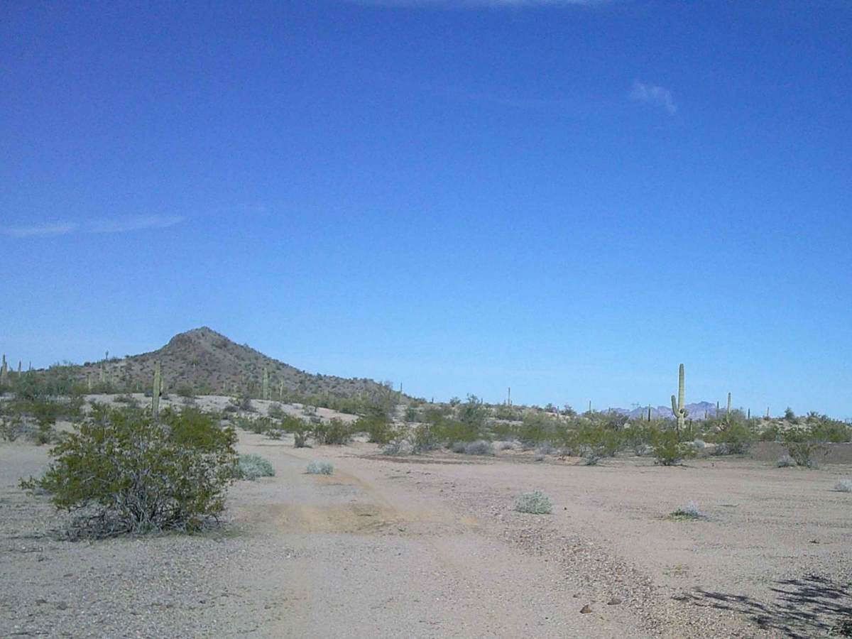 Cactus Road photo 6