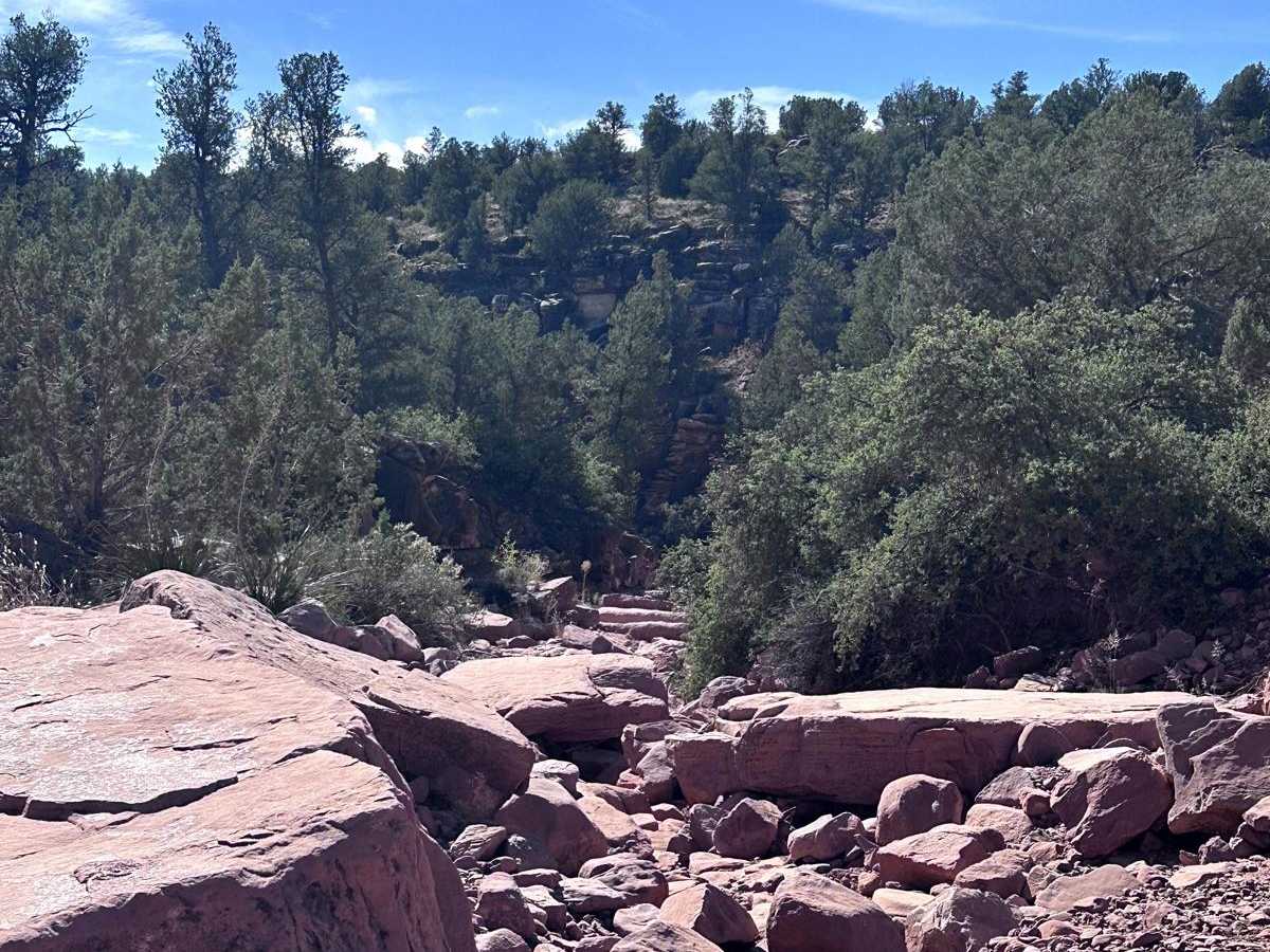 Diamondback Gulch (Greasy Spoon) photo 4