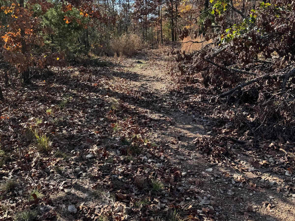 Green 168 photo 2