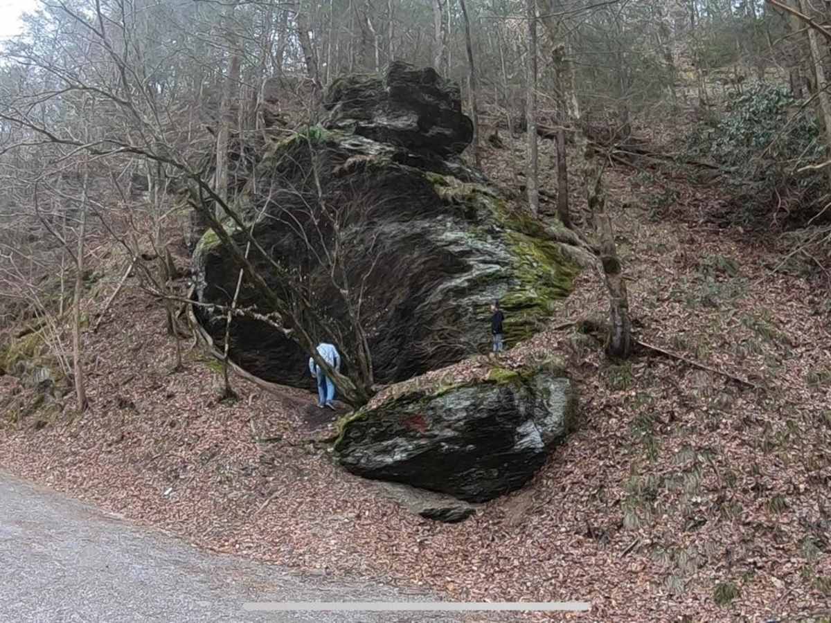 Indian Creek - FSR 302 photo 4