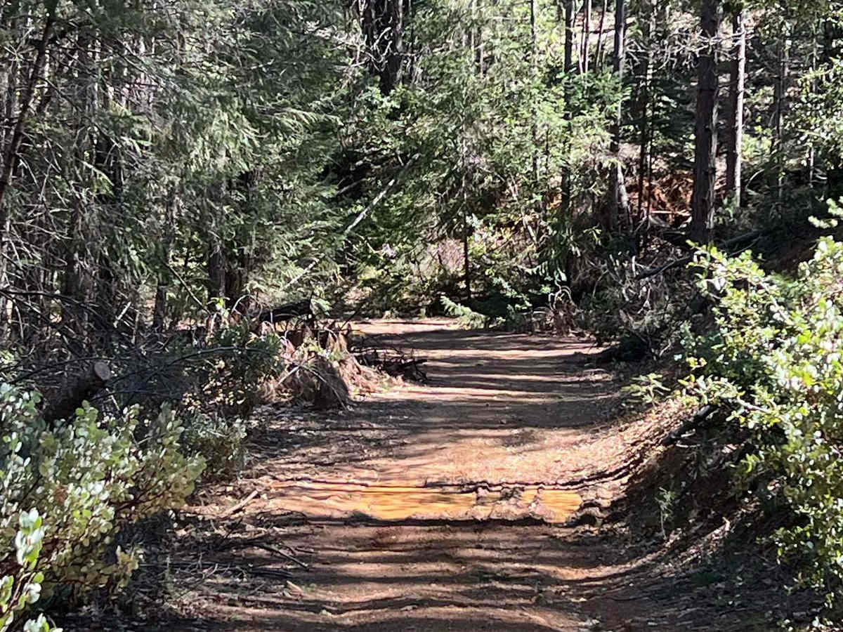 No Way Out trail photo
