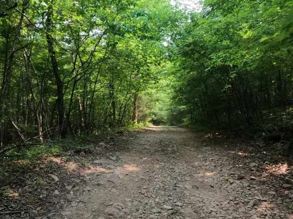 Bill Smith Hollow FSR 2064 photo 3
