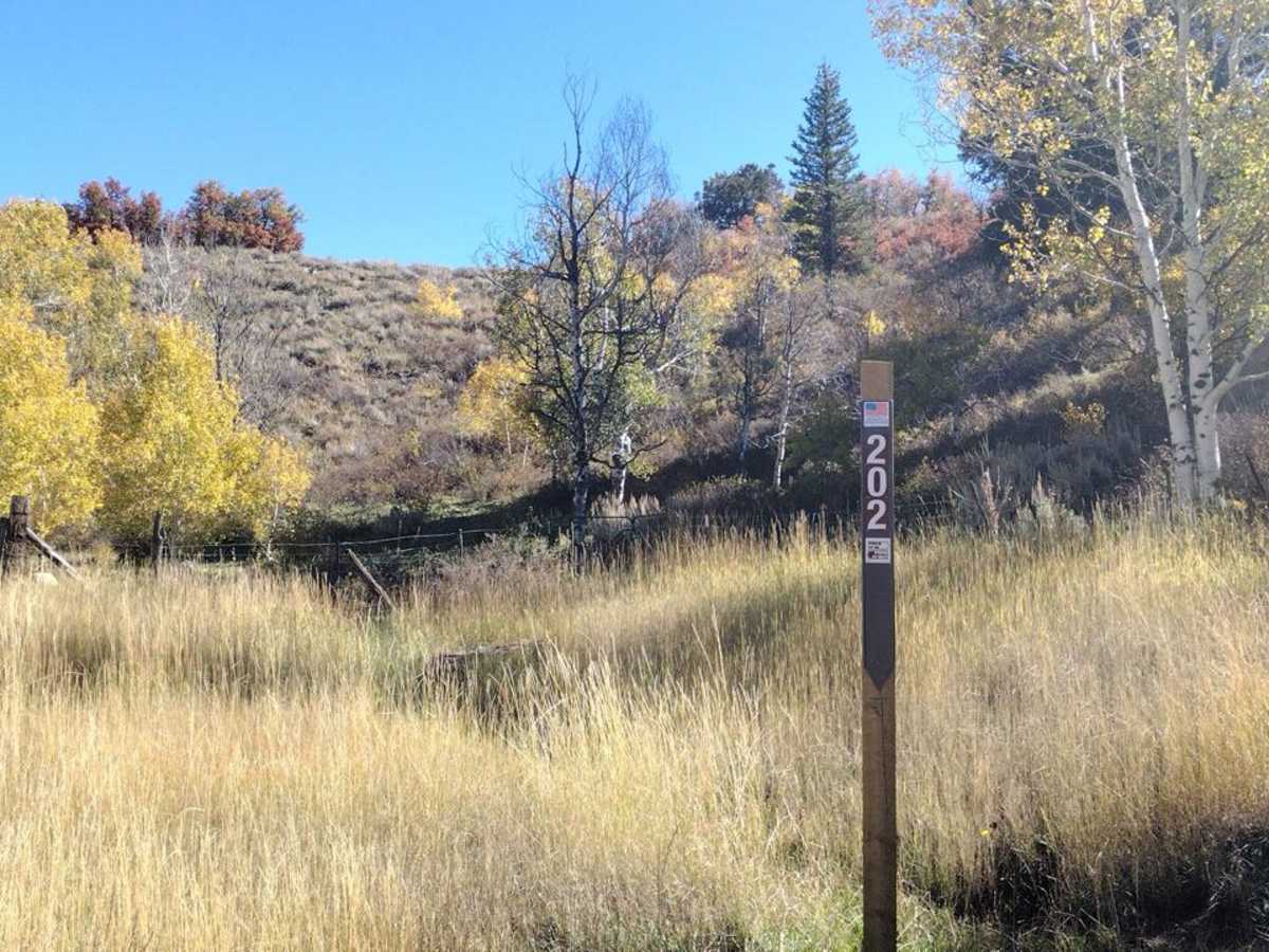 FS 80202 - Cedar Hollow photo 6