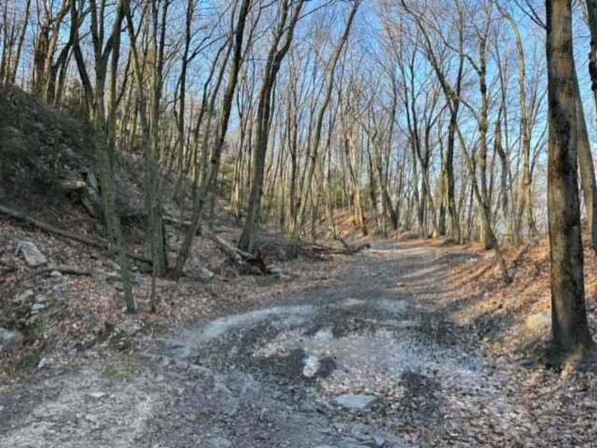 Tower City 13 trail photo
