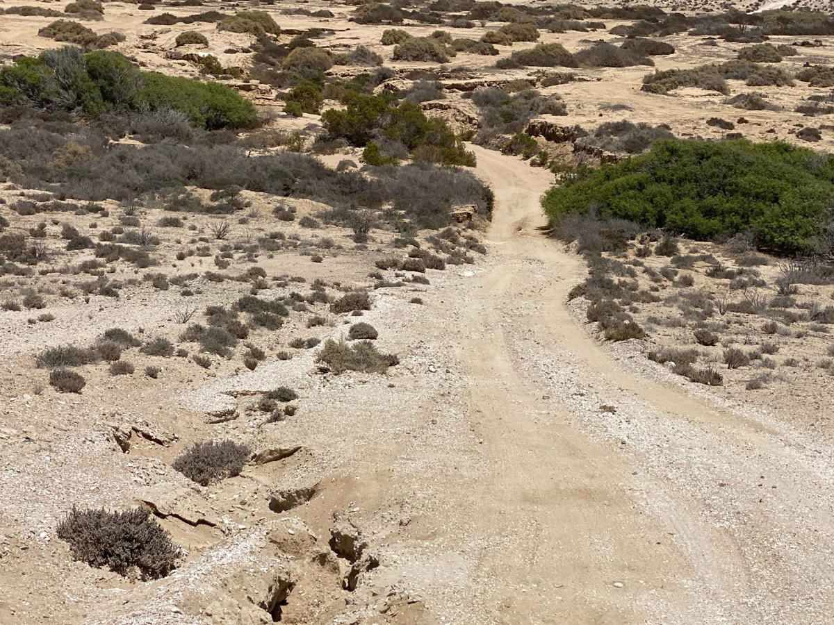 Coastal Route Bahia Asuncion to Punta Prieta photo 5