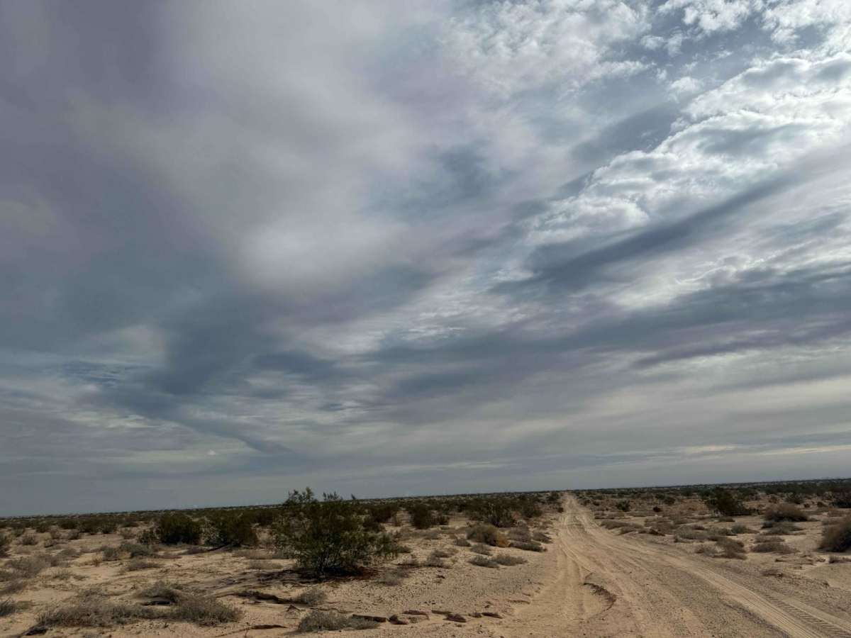Mexicali 1 photo 6