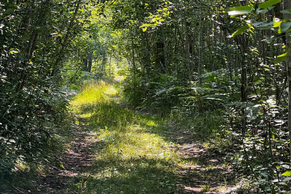 Tight Twiddler Trail