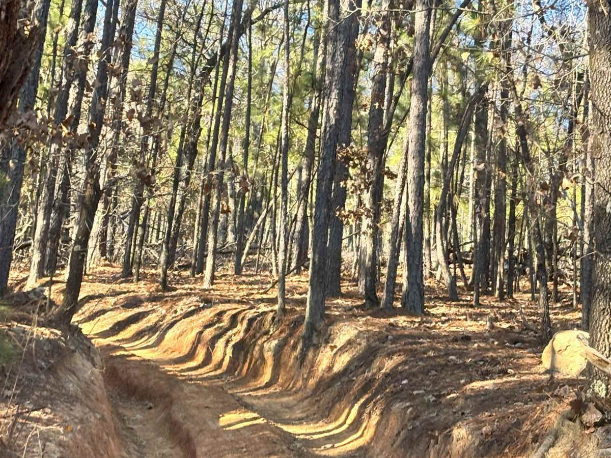 37A trail photo