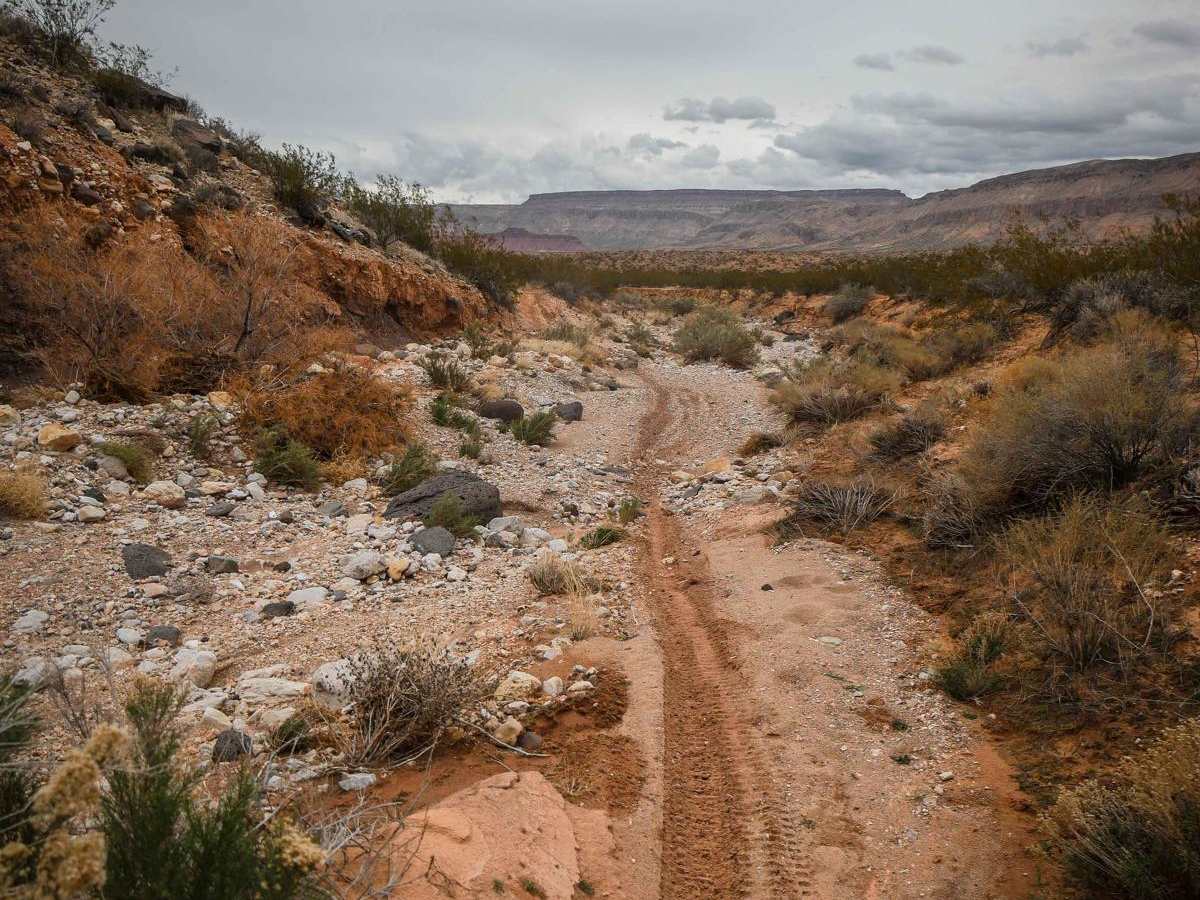 2048 Single Track photo 3