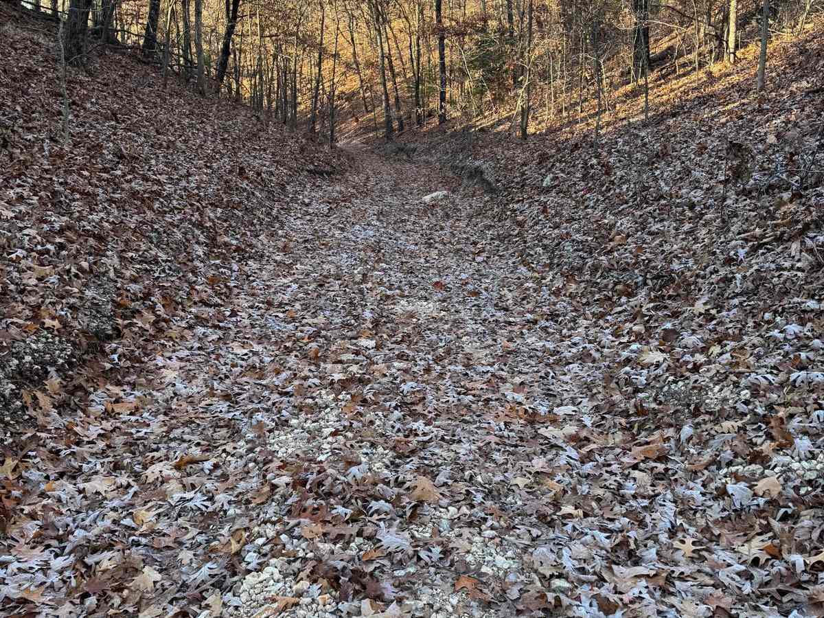 Green 210 trail photo