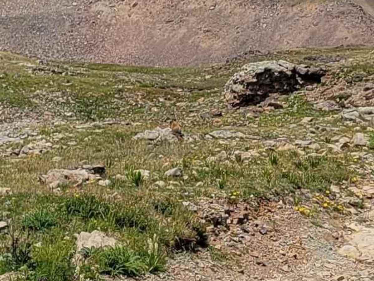 Baltic Mine Trail photo 2