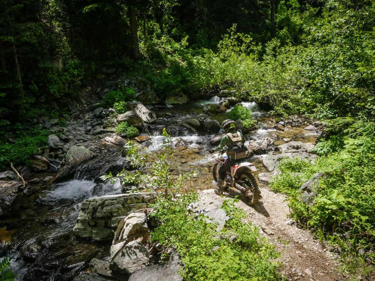 Dam Creek photo 6