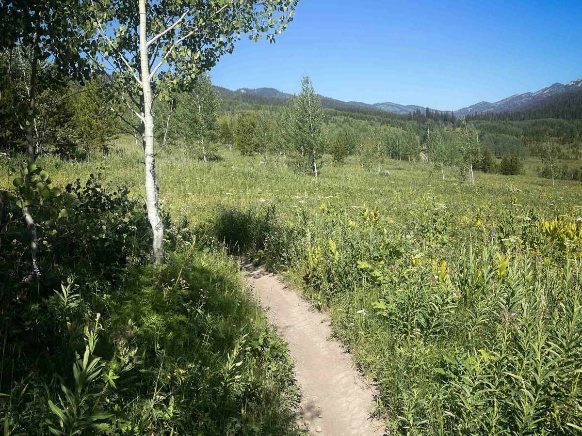 Kickstart (Kid's Loop) trail photo