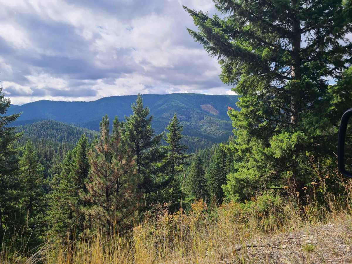Camels Hump - FS 3800 trail photo
