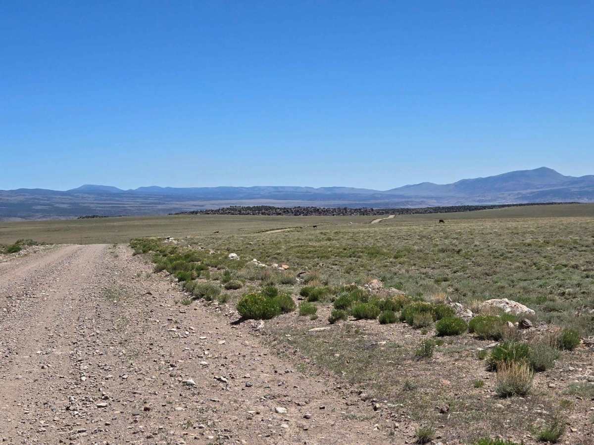 Parker Mountain Trail (PMT) 14 to PMT 15 photo 5