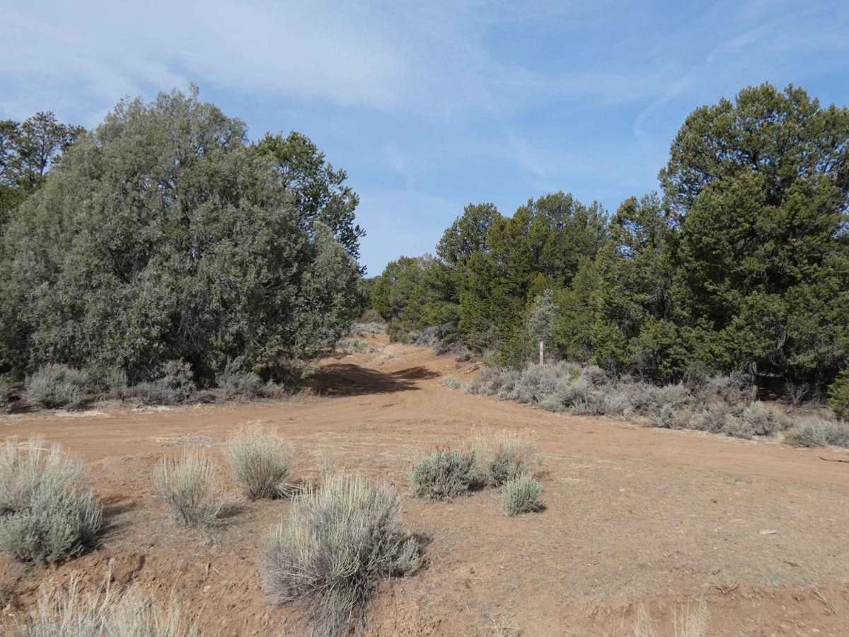 La Madera Loop FSR-222E photo 2