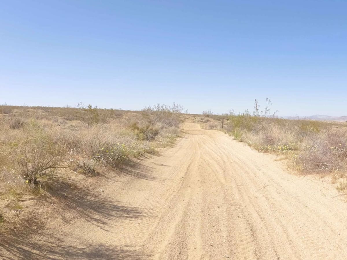BLM C3524 photo 2