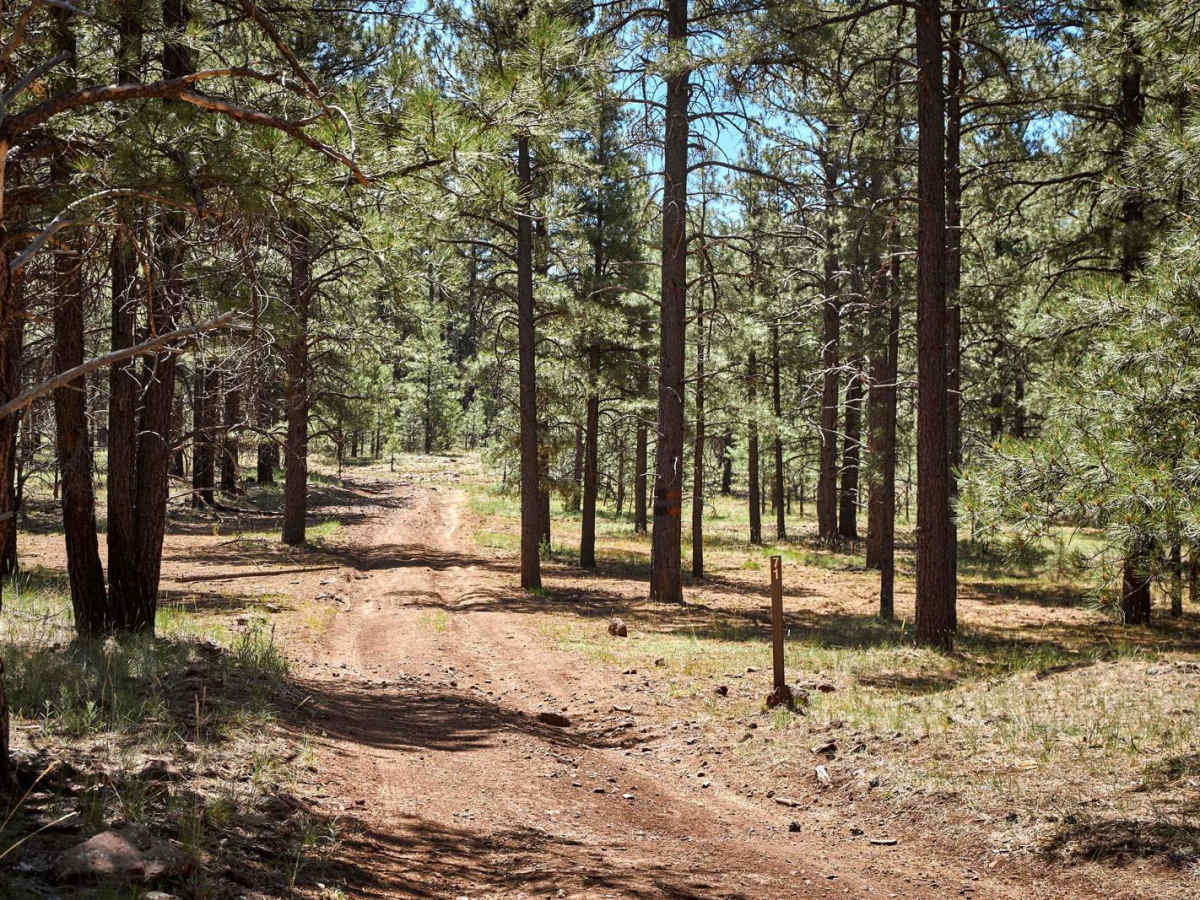FR 71 photo 2