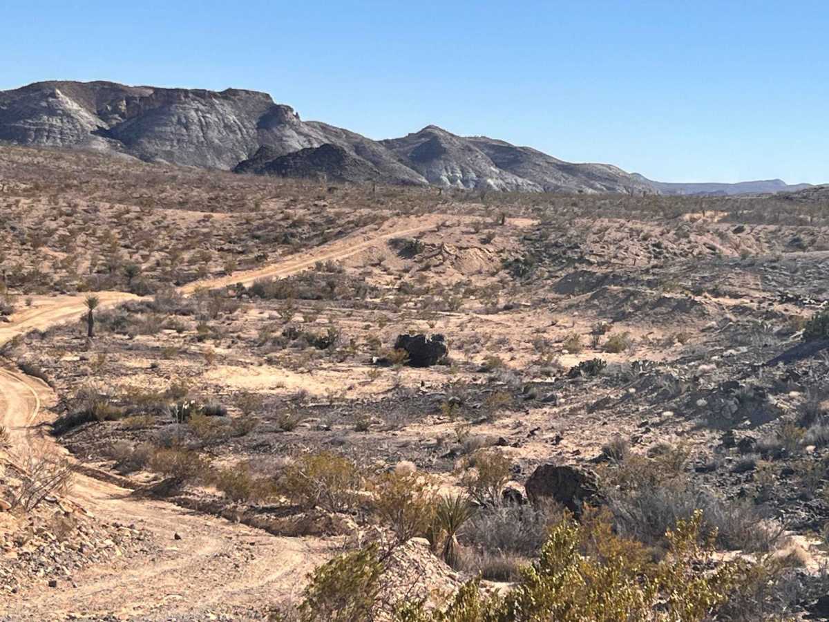 South County Road trail photo