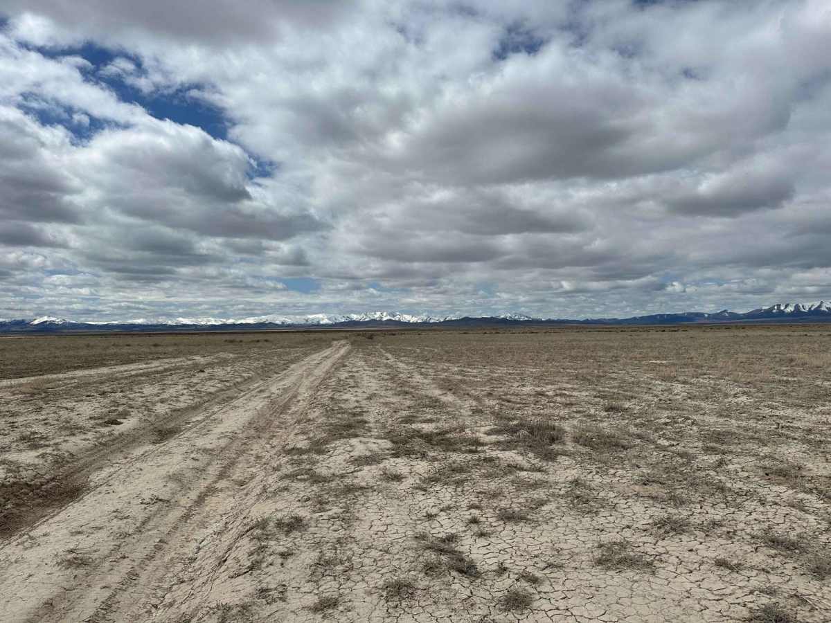 Sagebrush Sprint photo 2