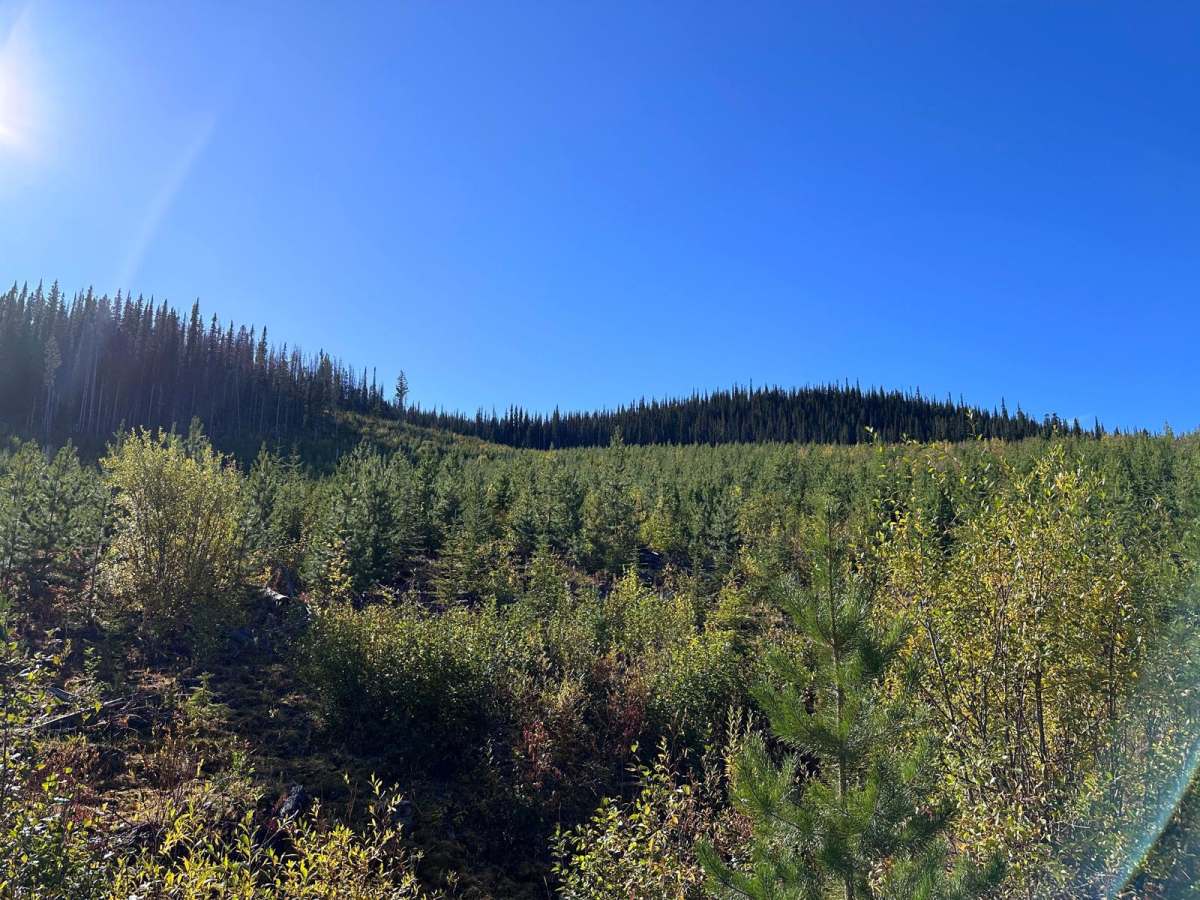 Chuwhels Mountain Road photo 2