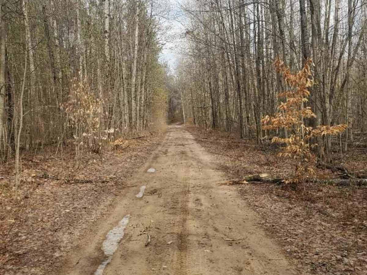 Bager Trail photo 6