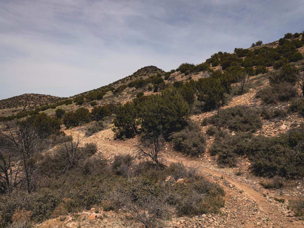 Long Gulch photo 6