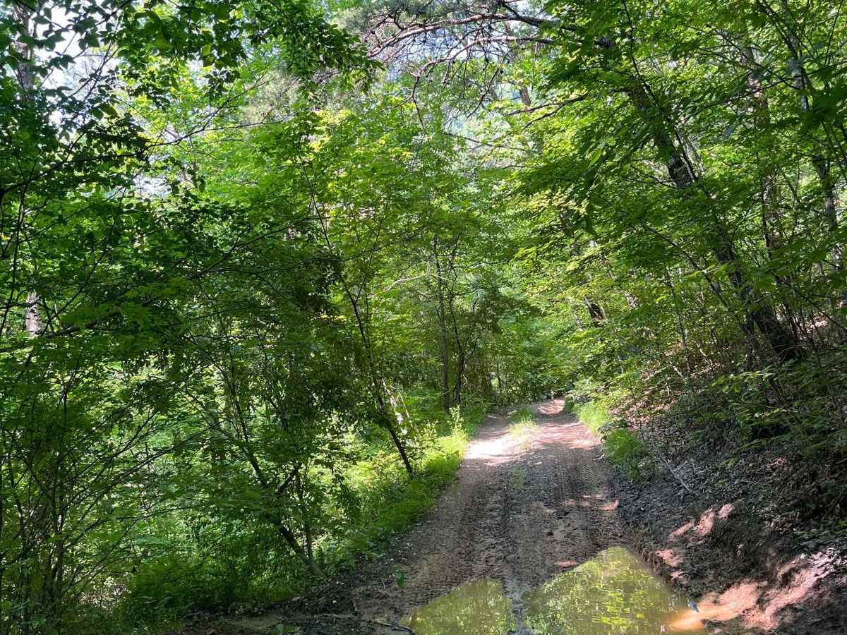Trail 6 photo 5