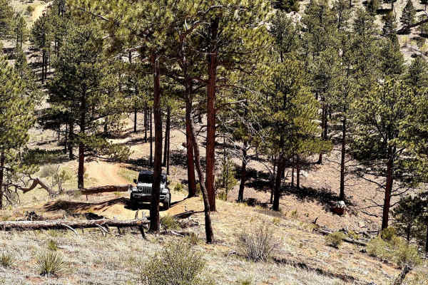 Metberry Gulch (FS 205)