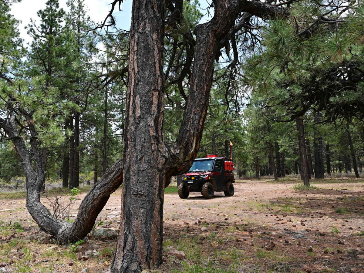 FR50084/Recapture Road photo 4
