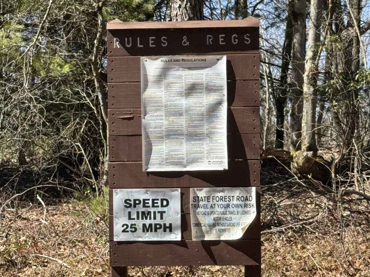 Barney's Ridge Road photo 3