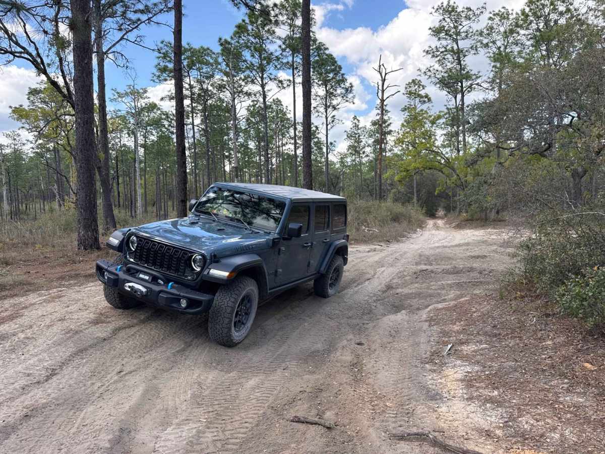 Ocala National Forest 316-7.1 photo 5